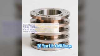 Hot Forged CuNi 70 30 Flange 20 Year Service Life