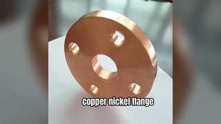 Copper-Nickel Flanges Superior Seawater Corrosion Resistance for Marine Piping