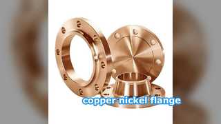 Copper-Nickel Flanges: Superior Seawater Corrosion Resistance for Marine Piping