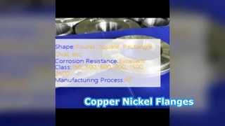 Spectacle Flanges Copper Nickel 90/10 Forged