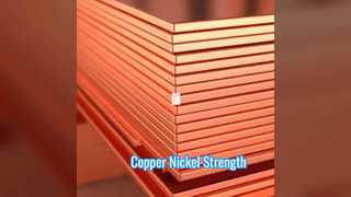 Copper Nickel Plate C71500 C70600 Coil