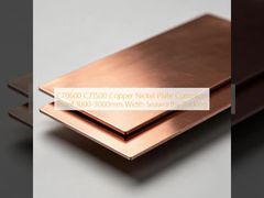 C70600 C71500 Copper Nickel Plate Corrosion Resistant