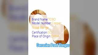 Spectacle Flanges Copper Nickel 90/10 Forged