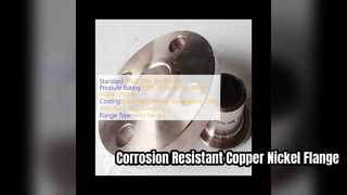 Durable Copper Nickel Flange Corrosion Resistant Solution