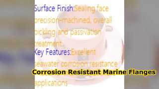Durable CuNi 70 30 Weld Neck Flange for Marine Systems