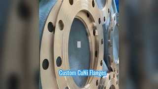 Custom CuNi C70600 Flanges Class 300