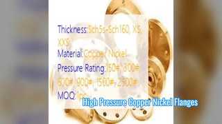 C70600 Copper Nickel Flange High Pressure Shipbuilding