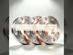 C70600 CuNi Weld Neck Flange High Pressure Marine Solution