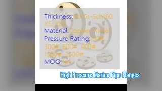 ASME B16.5 WN Copper Nickel Flange for Marine Piping
