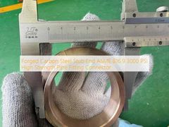 High Strength Forged Carbon Steel Stub End 3000 PSI Fitting