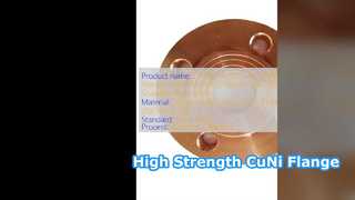C71500 70 30 CuNi WNRF Flange Class 1500 High Strength