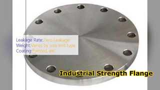 Copper Nickel Flange DN25 PN40 Industrial Strength