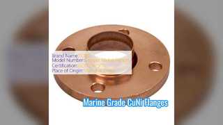 Durable CuNi 70 30 Socket Weld Flange for Marine Systems