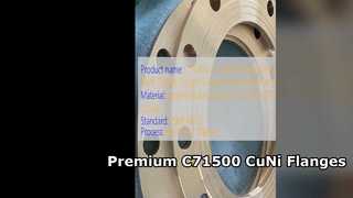 C71500 CuNi 70 30 Weld Neck Flange Premium Forged Quality