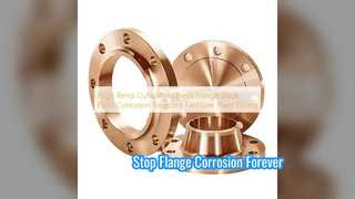 Corrosion Resistant CuNi Weld Neck Flange for Fertilizer Plants