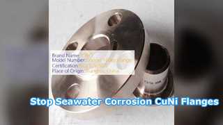 CuNi 70 30 Forged Flange Seawater Corrosion Resistant