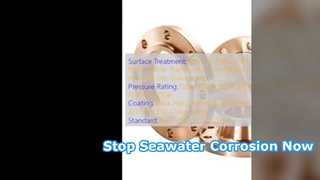 CuNi 90 10 Weld Neck Flange Seawater Corrosion Resistant
