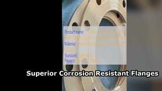 C71500 CuNi 70 30 Weld Neck Flange High Strength Solution